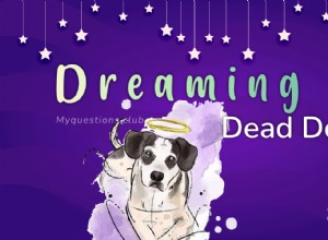 死んだ犬の夢を見る