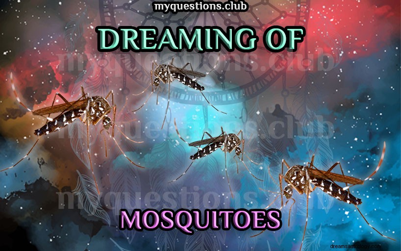 蚊の夢を見る
