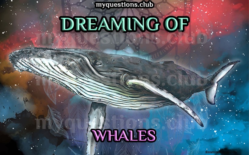 クジラの夢を見る