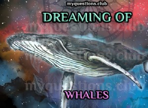 クジラの夢を見る