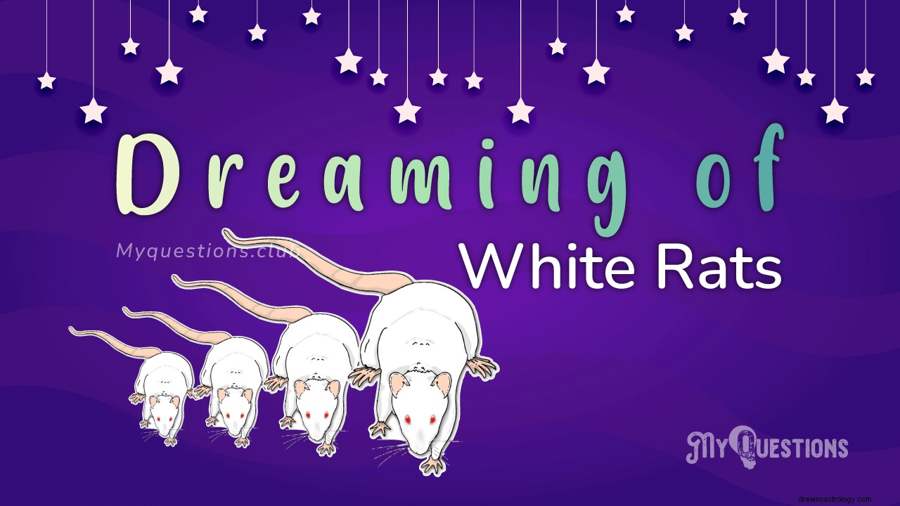 白いネズミの夢を見る