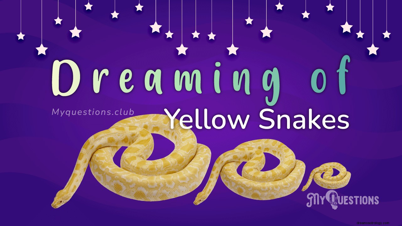 黄色いヘビの夢を見る