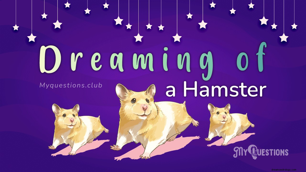 RÊVER D UN HAMSTER