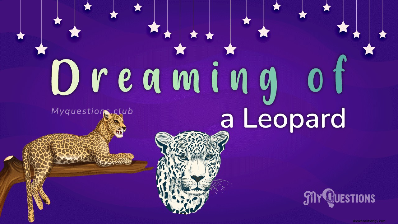 Ονειρευόμουν μια λεοπάρδαλη