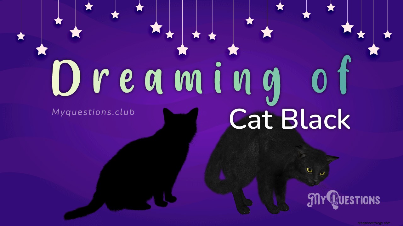 黒猫の夢を見る