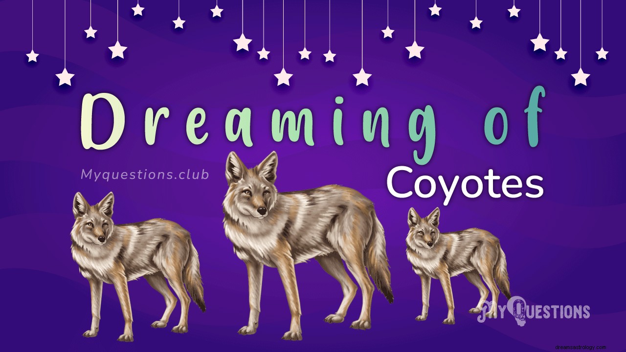 DROMEN VAN COYOTES