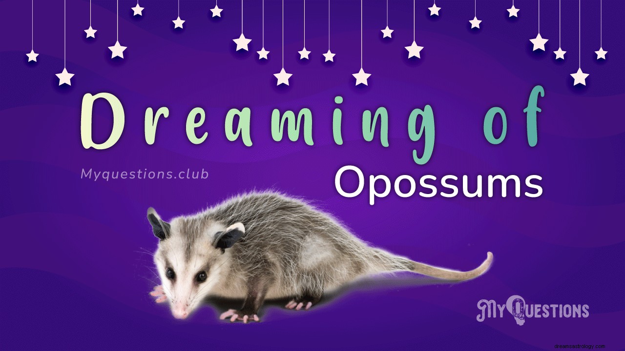 DROMEN VAN OPOSSUMS