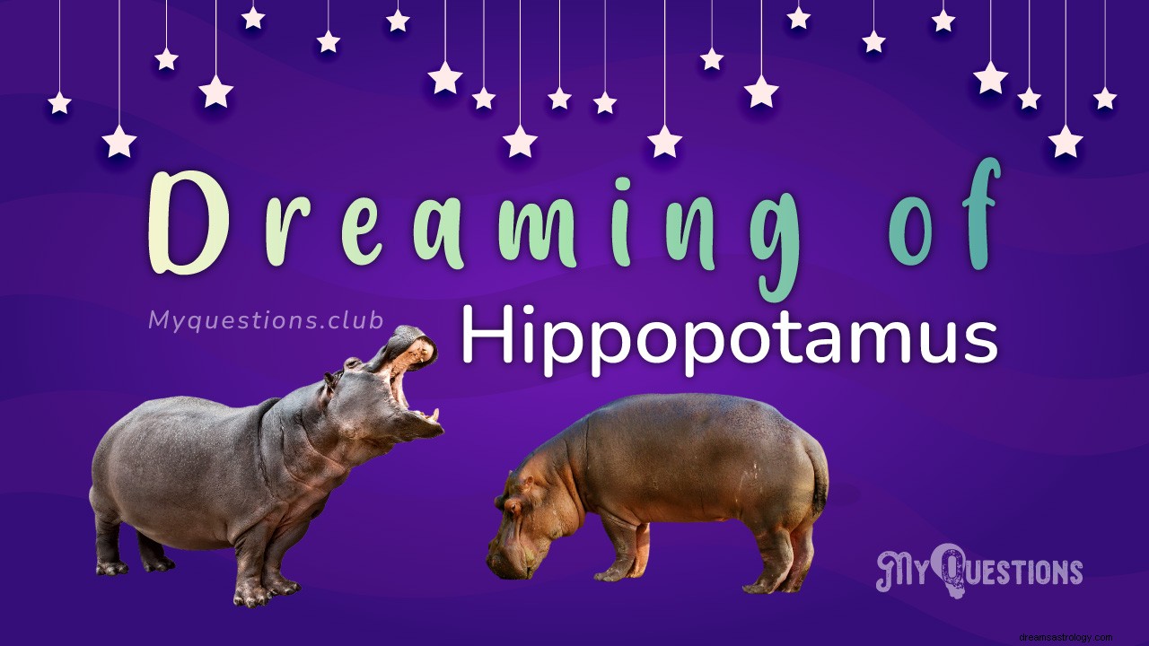 RÊVER D HIPPOPOTAME