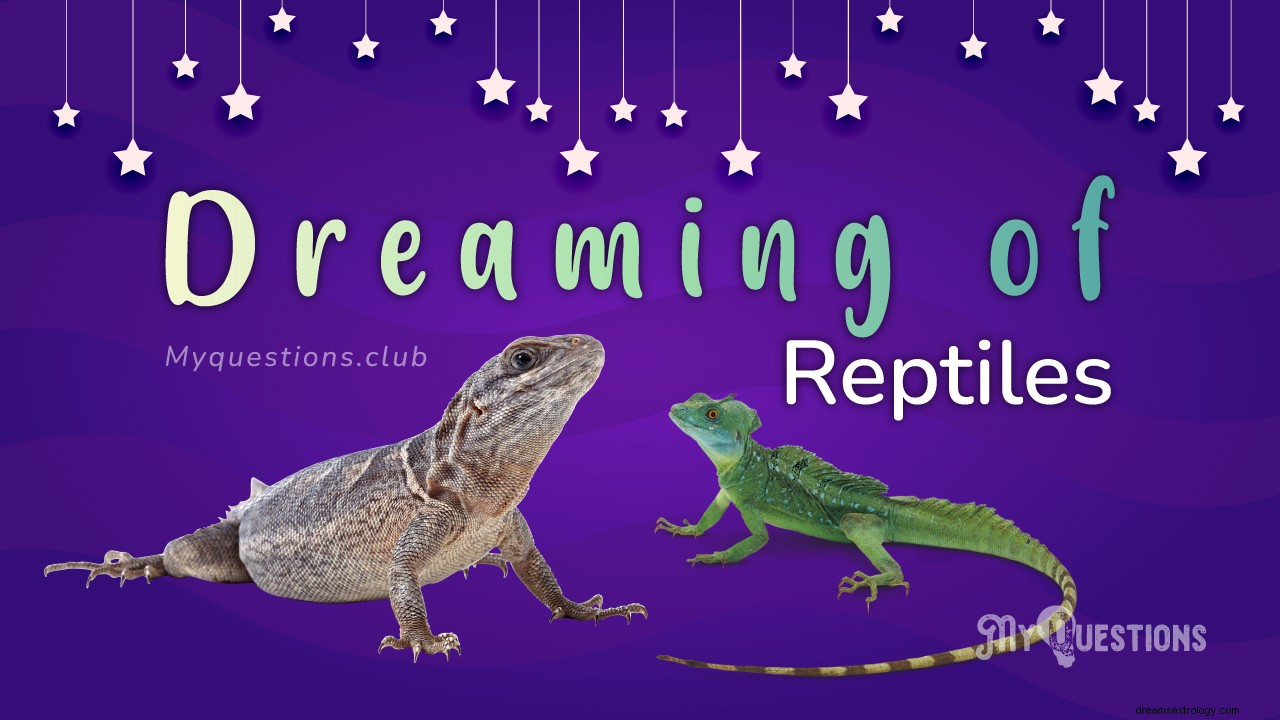 RÊVER DE REPTILES