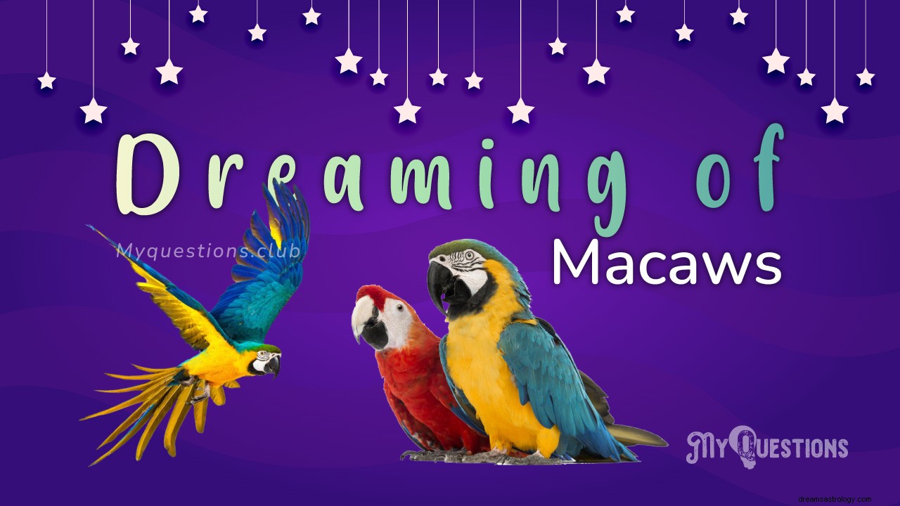 MACAWS の夢を見る