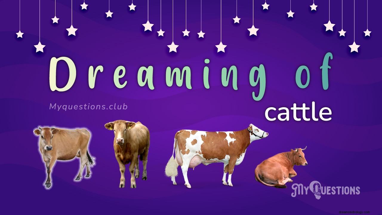 DREAMING OF CATTLE