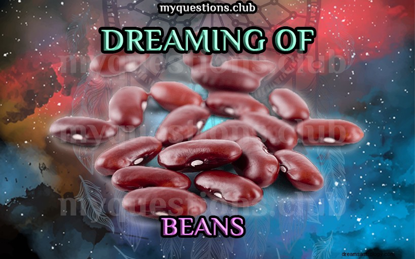 豆の夢を見る