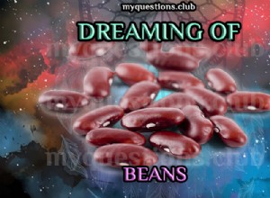 DRØMMER OM BØNNER
