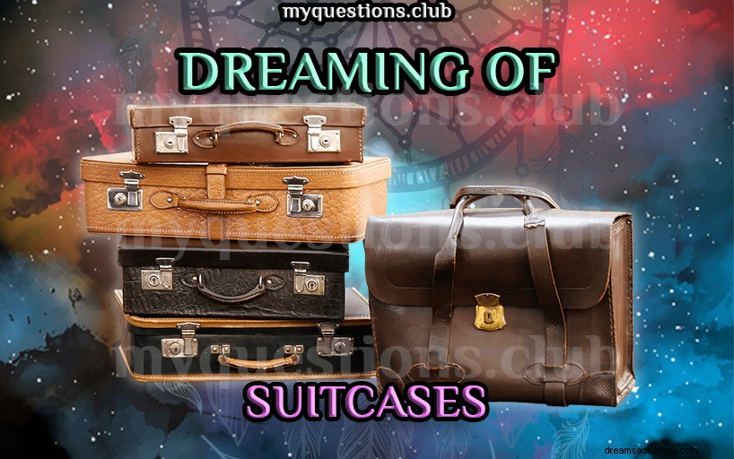 夢のスーツケース