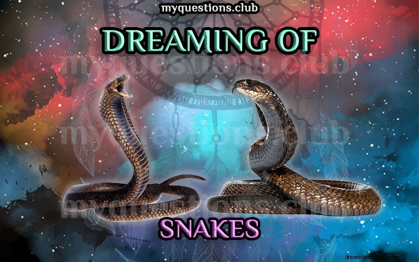蛇の夢を見る