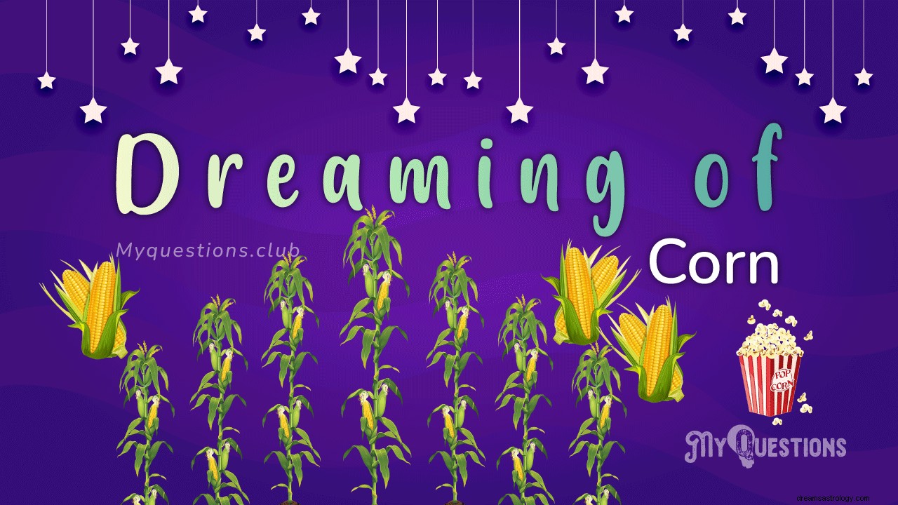 DREAMING OF CORN