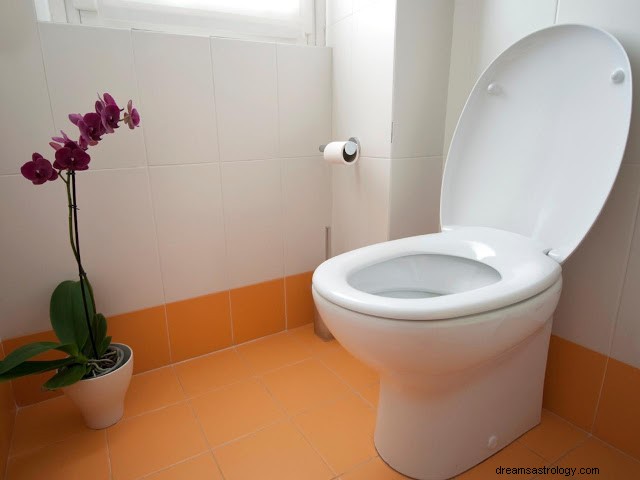 Sognare WC/Feci