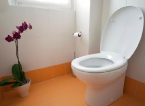 Drøm om toalett/avføring