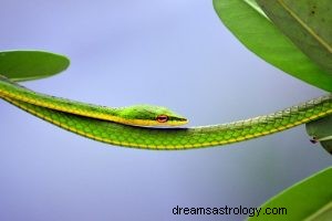 Co to znaczy śnić o wężach