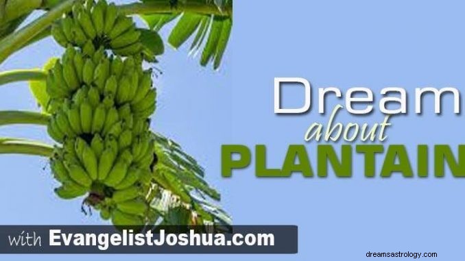 Dream About PLANTAIN