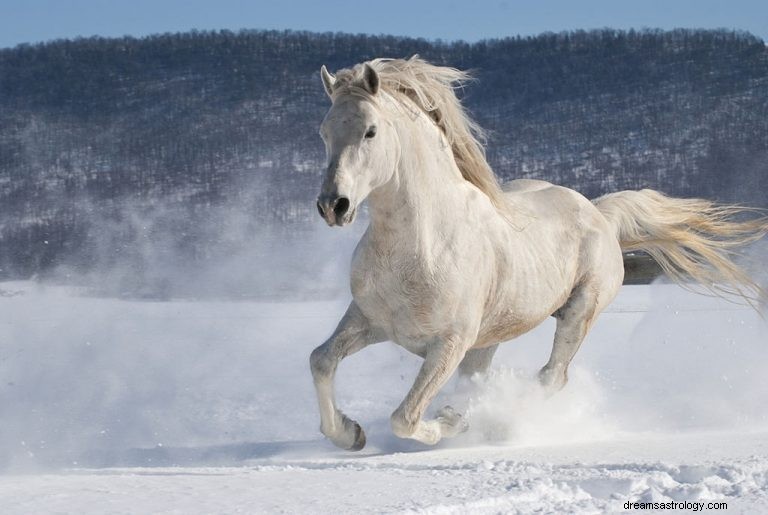 Vit häst – drömmening och symbolik