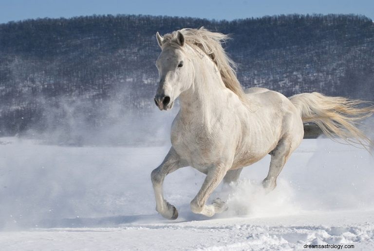 Caballo Blanco – Significado y simbolismo de los sueños