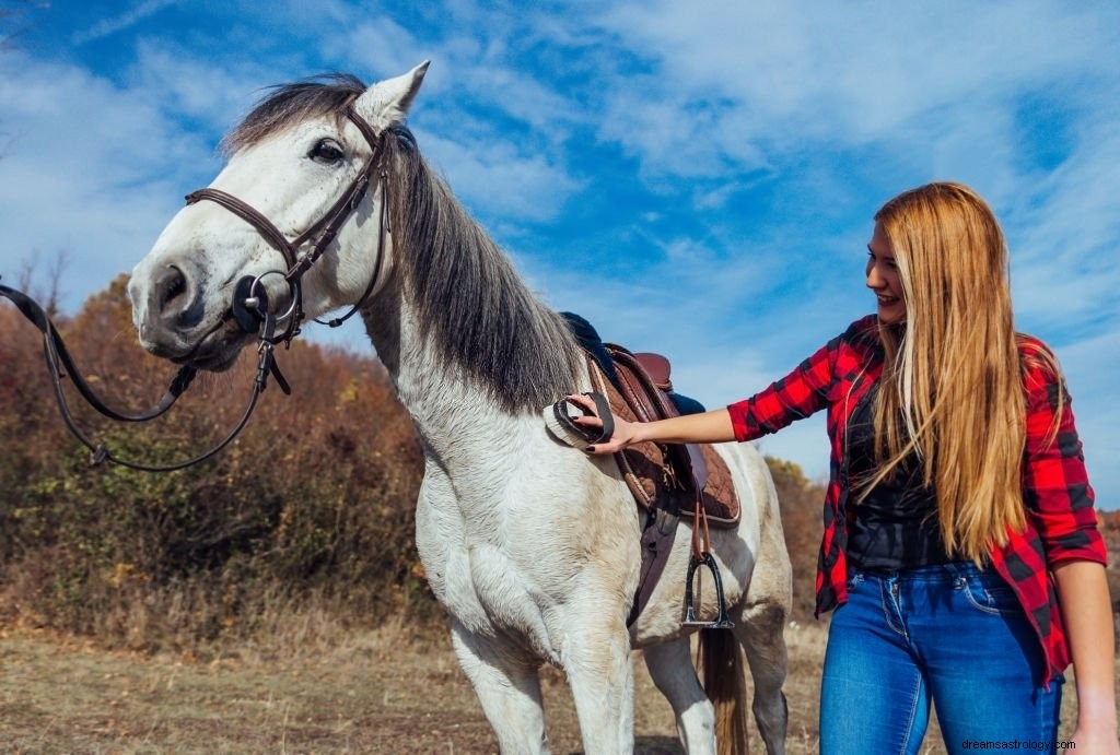 Hvid hest – drømmebetydning og symbolik