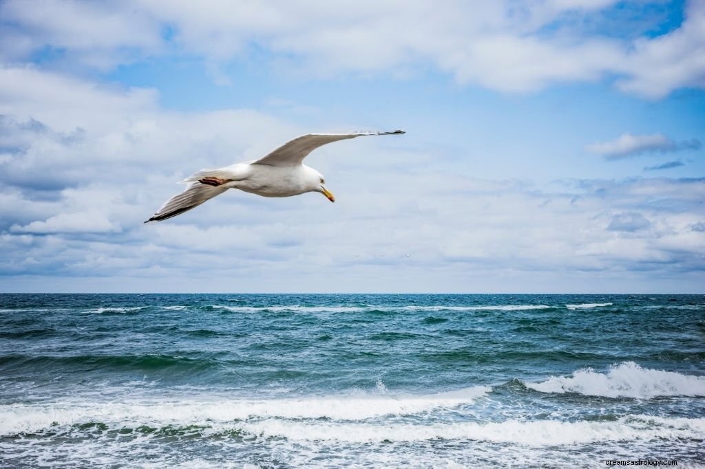 Vogel – Bedeutung und Symbolik von Träumen