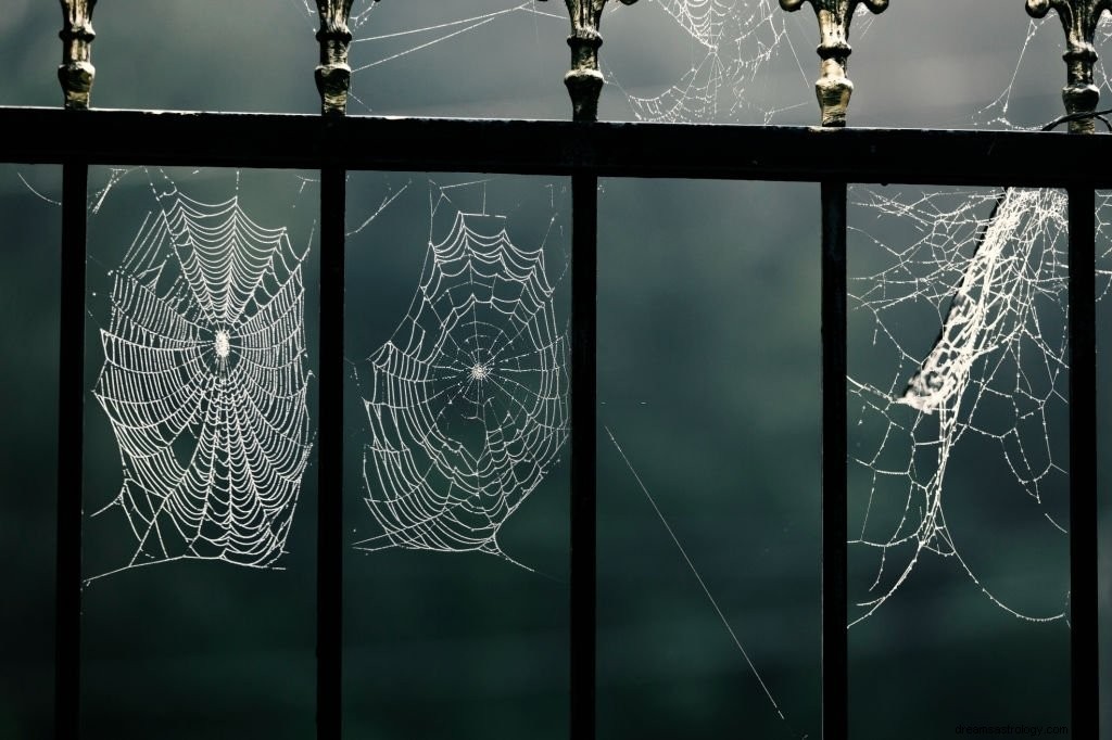 Spindelnät – drömmening och symbolik