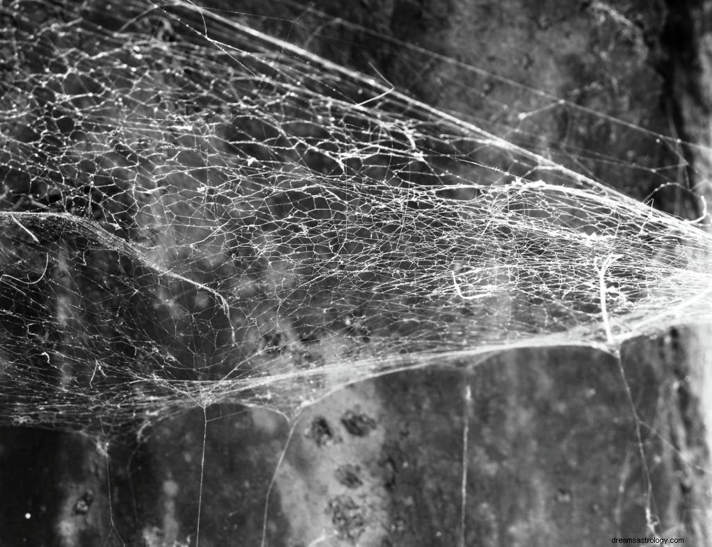Spindelnät – drömmening och symbolik