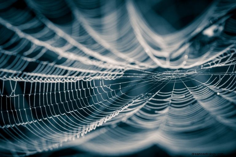 Telaraña – Significado y simbolismo de los sueños