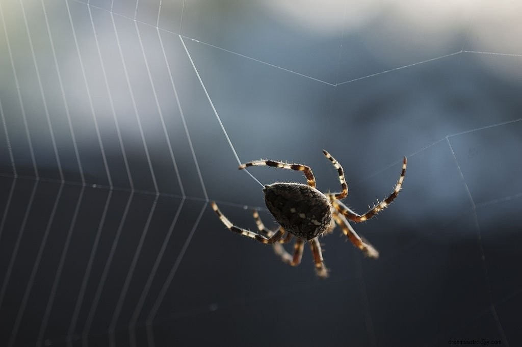 蜘蛛の巣 – 夢の意味と象徴