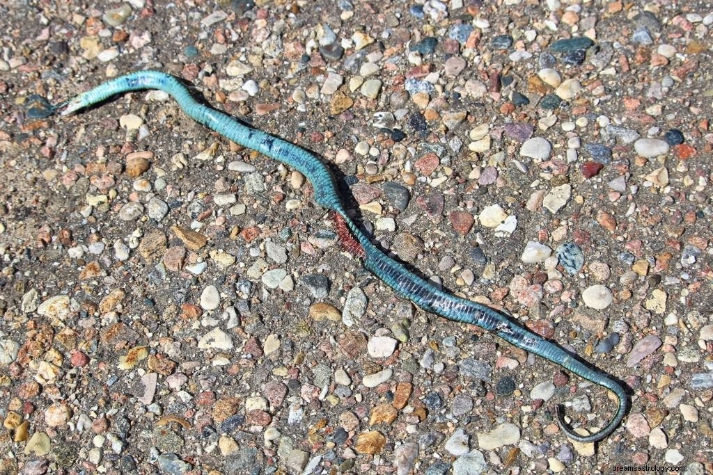 Blå orm – drömmening och symbolik