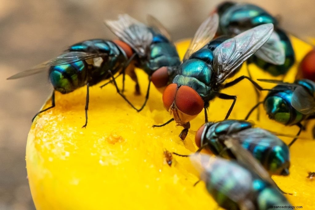 Fliege – Bedeutung und Symbolik von Träumen