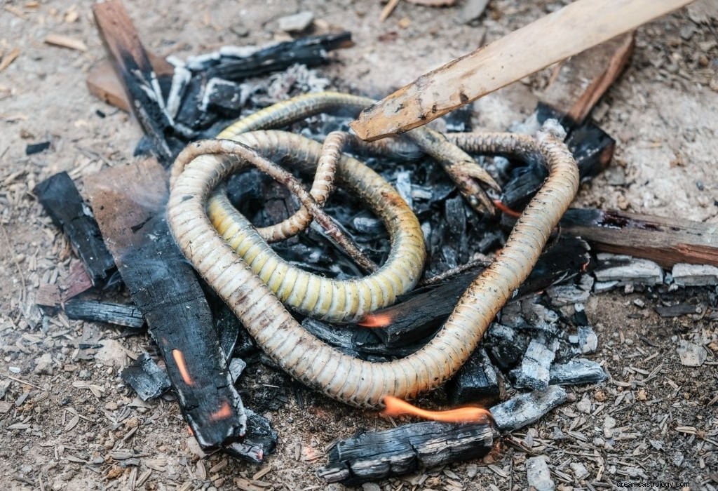 Eine Schlange getötet – Bedeutung und Symbolik von Träumen