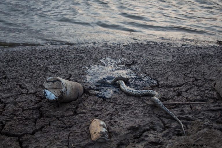 Dræbte en slange – drømmebetydning og symbolik