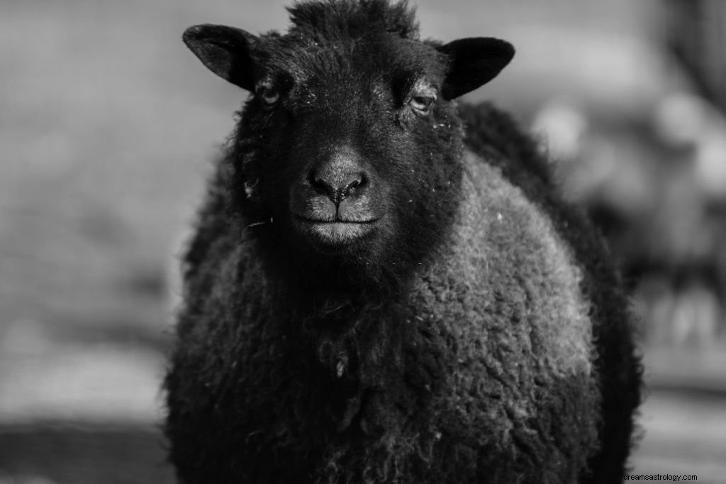 羊 – 夢の意味と象徴
