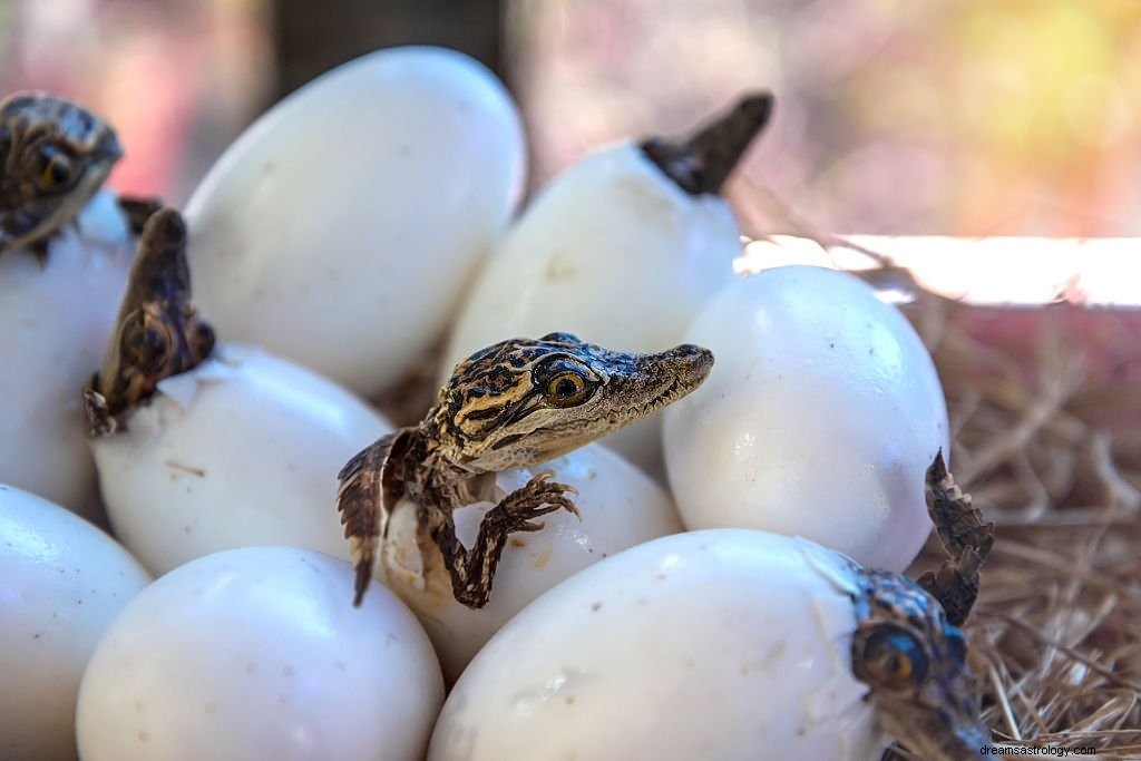 Alligator – drømmebetydning og symbolik