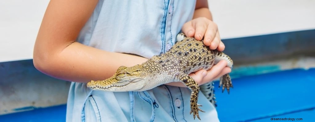 Alligator – Bedeutung und Symbolik von Träumen