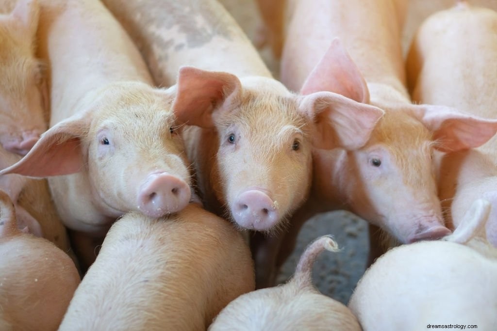 Varkensvlees - Droombetekenis en symboliek