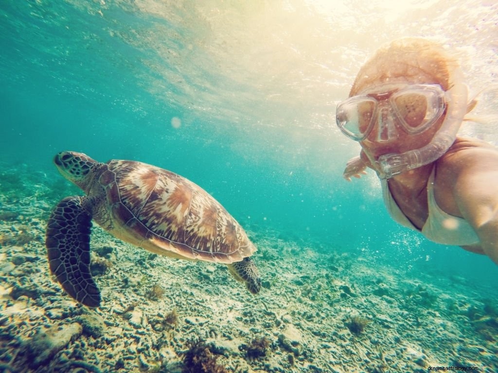 Playa – Significado y simbolismo de los sueños