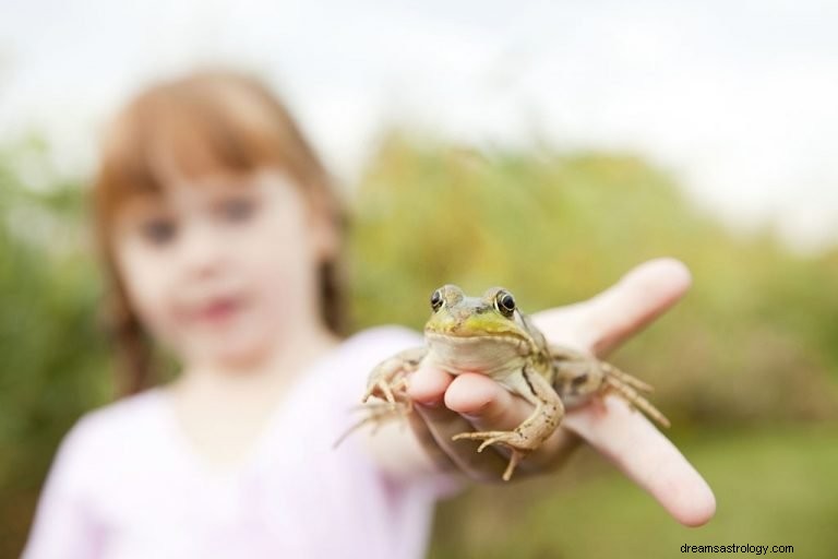 Katak – Arti Mimpi dan Simbolisme