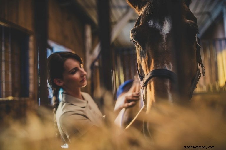 Häst – drömmening och symbolik