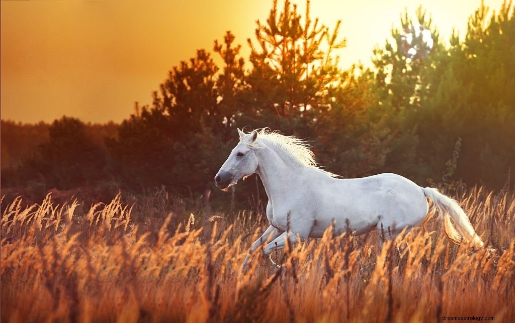 Hest – drømmebetydning og symbolik