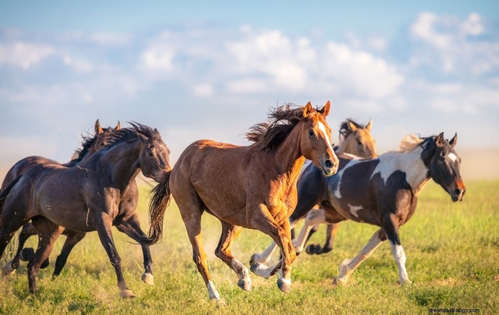 Hest – drømmebetydning og symbolik