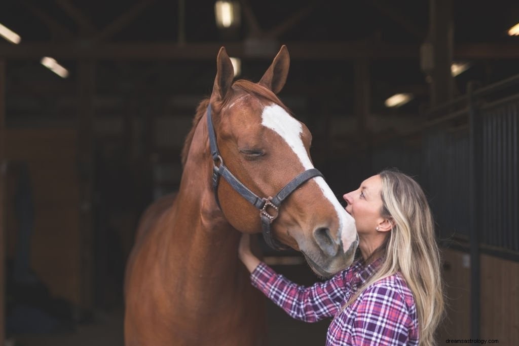 Hest – drømmebetydning og symbolik