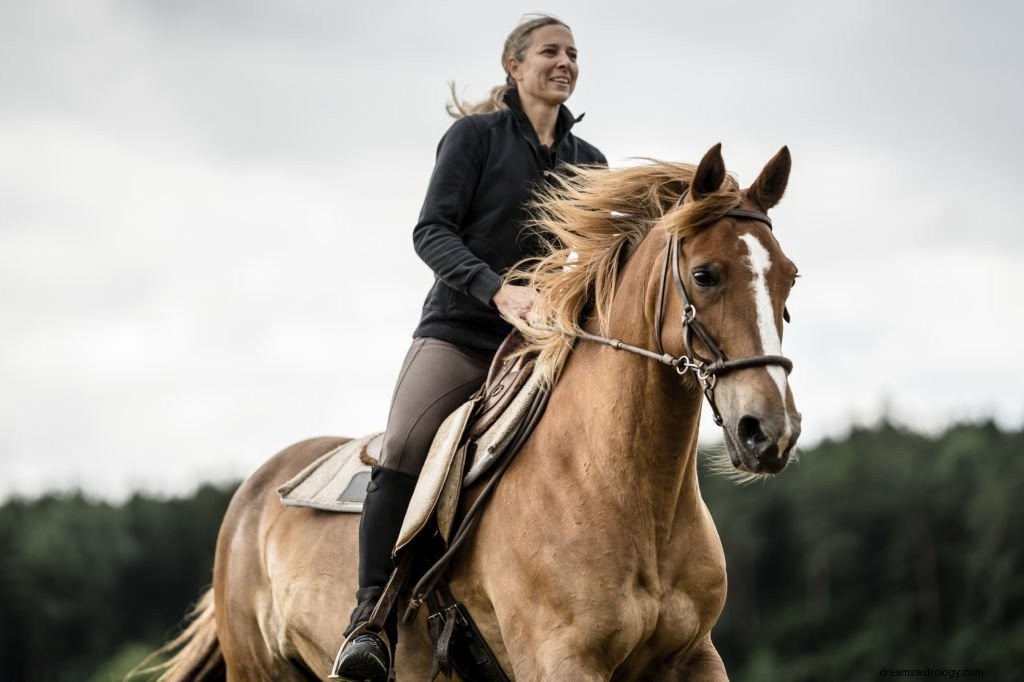 Hest – drømmebetydning og symbolik