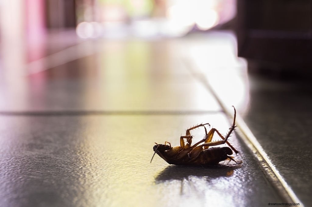 ゴキブリ – 夢の意味と象徴