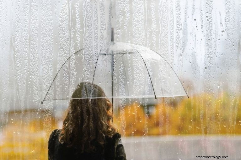 雨 – 夢の意味と象徴