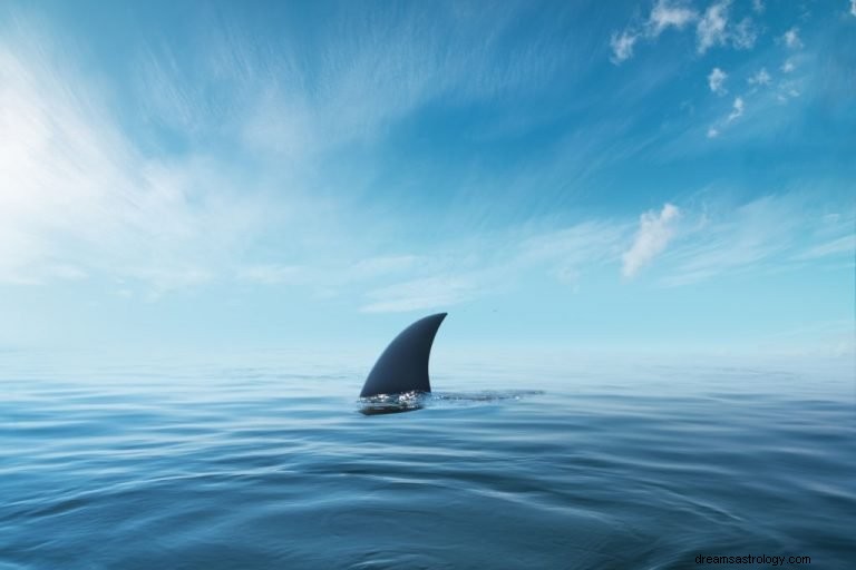 Haj – drømmebetydning og symbolik